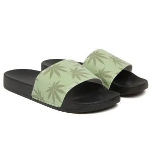 420 Plantlife Slides