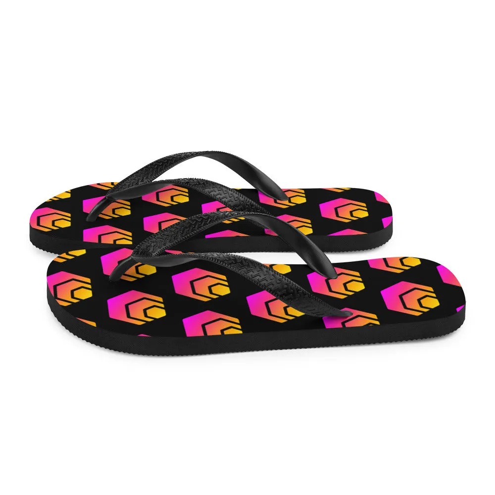 HEX Flip-Flops